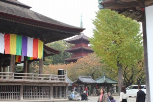 中山法華経寺