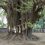 s-IMG_5402